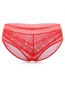 Sexy See Through Mesh Breathable Mid Waist Panties For Women