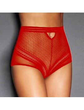 Plus Size High Waist Tummy Control Hollow Lace Panties