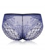 Plus Size See Through Lace Hip Lifting Mid Waist Panties