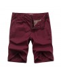 Mens Spring Summer Brief Style Multicolor Casual Cotton Cargo Shorts